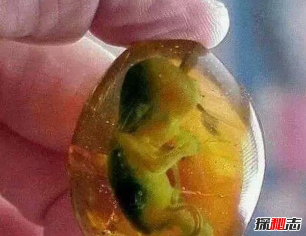 鬼璽是真實(shí)存在的嗎,揭秘盜墓筆記中真實(shí)存在的27件詭異物品