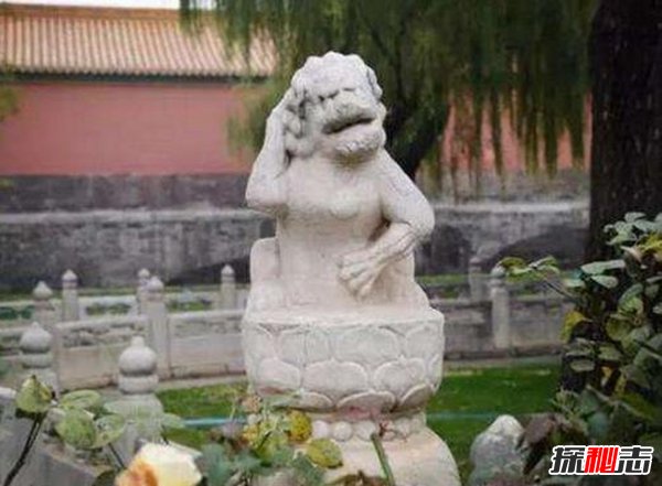 故宮的獅子不能摸,石獅竟是皇子轉(zhuǎn)世