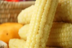 糯玉米熱量是多少：150大卡左右（200克）