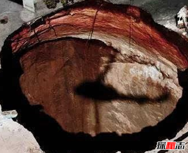 世界靈異事件真實(shí)案例,離身衣如同刀割黃豆般大小(持續(xù)至今)