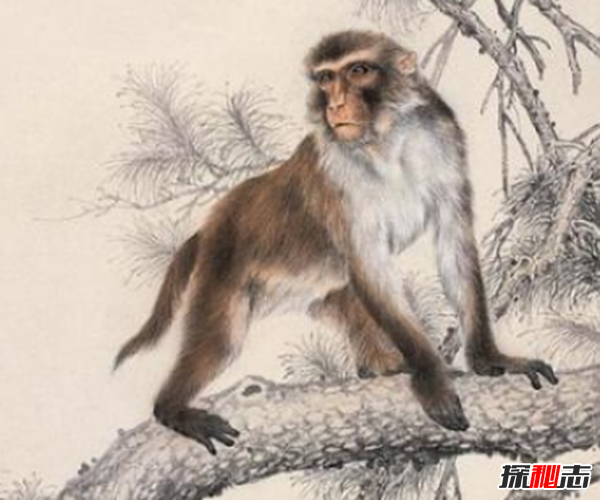 親身經(jīng)歷!安徽農(nóng)村真實(shí)靈異事件,夜晚鬼請(qǐng)醫(yī)為無(wú)上顎兒看病