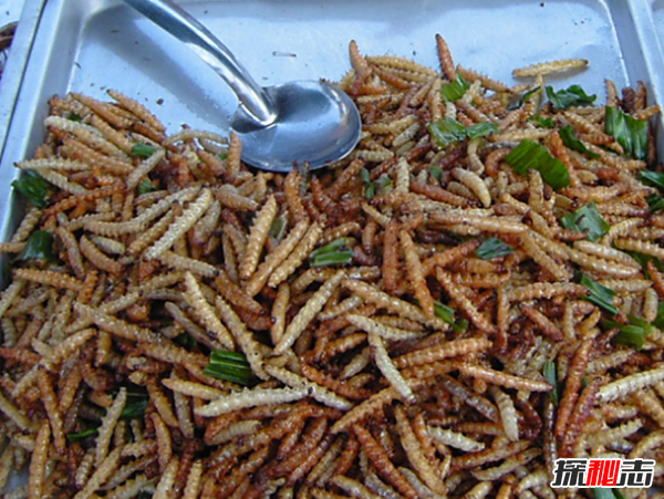 吃過(guò)嗎?十大最火最奇怪的油炸食品,油炸竹蟲在泰國(guó)極受歡迎
