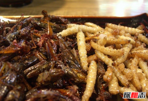 吃過(guò)嗎?十大最火最奇怪的油炸食品,油炸竹蟲在泰國(guó)極受歡迎