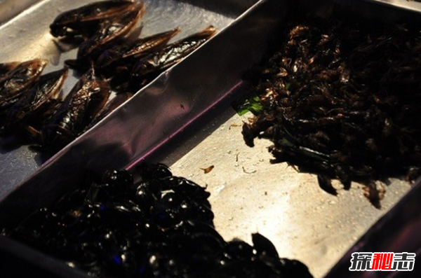 吃過(guò)嗎?十大最火最奇怪的油炸食品,油炸竹蟲在泰國(guó)極受歡迎