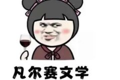 凡爾賽是什么梗?多諷刺低調(diào)炫富的人(出自法國(guó)貴族)