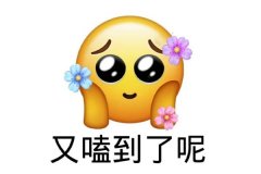 kswl是什么意思?常出現(xiàn)在飯圈(磕cp專(zhuān)用梗/磕死我了)