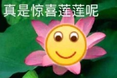 白蓮花是什么意思?表面單純實(shí)則心機(jī)(做作的綠茶女)