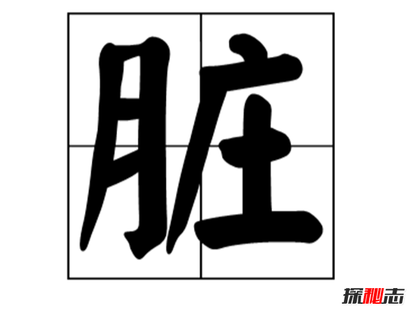 你每天都能接觸到?世界上十大最臟的東西照片