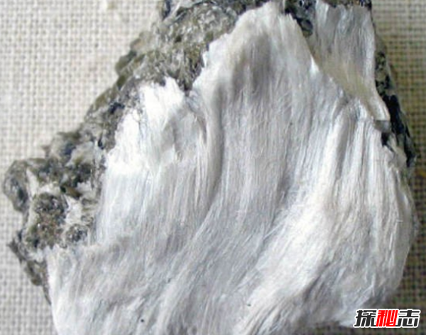 天然不等于無害!生活中常見的15大天然產(chǎn)品