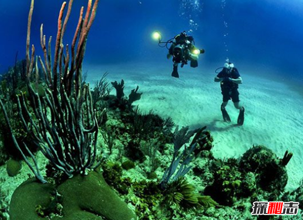 海洋太可怕!海洋深處的十大恐怖秘密