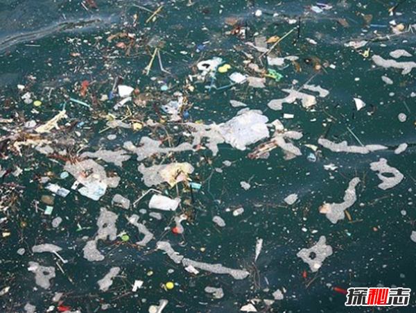 海洋太可怕!海洋深處的十大恐怖秘密
