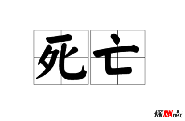 最不可思議的事?十大殺人最利的兇器事件,51歲女子乳房悶死男友