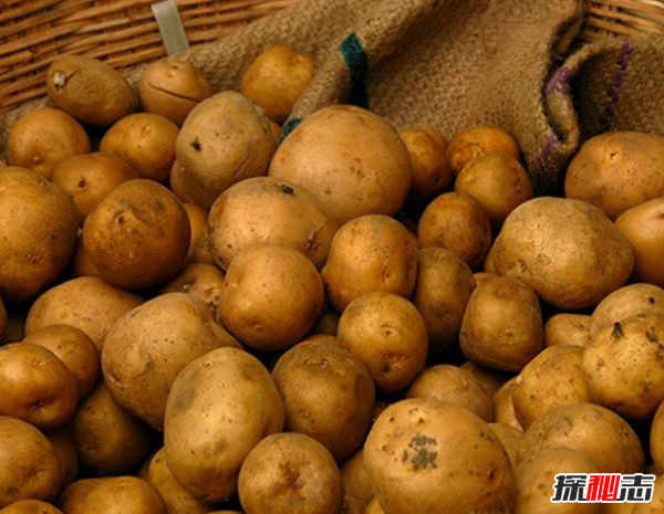 遇到危機的情況要怎么辦?需要牢記的10個生活安全常識