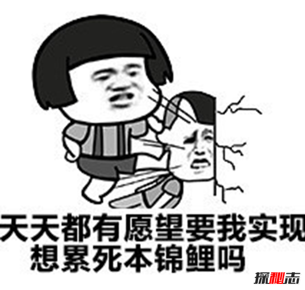 轉(zhuǎn)發(fā)錦鯉是什么梗?盤點(diǎn)世界十大名貴錦鯉(附圖片)