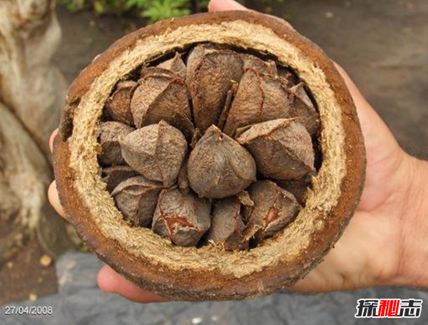 生活中哪些東西有輻射?最常見(jiàn)的十大放射性物品
