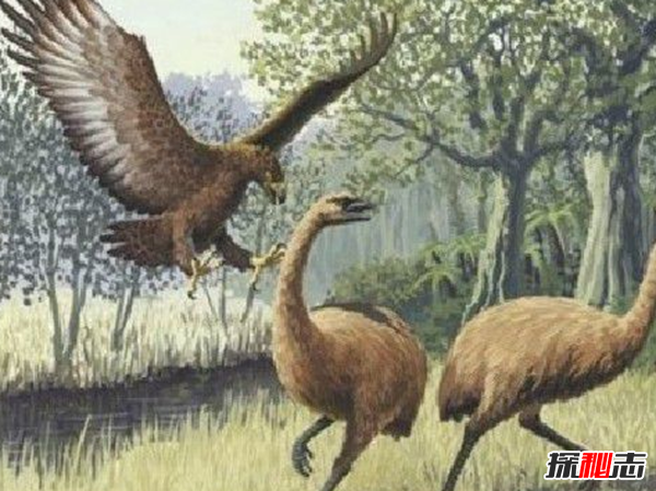 地球還存在史前生物嗎?世界十大無害的史前生物
