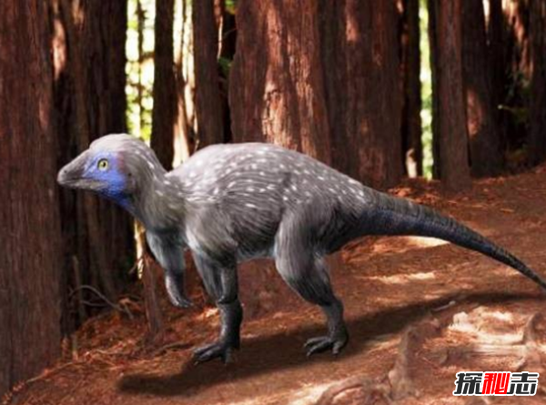 地球還存在史前生物嗎?世界十大無害的史前生物