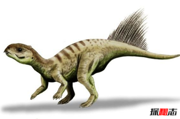 地球還存在史前生物嗎?世界十大無害的史前生物