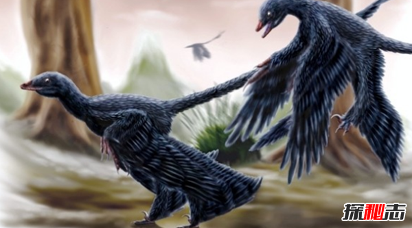 地球還存在史前生物嗎?世界十大無害的史前生物