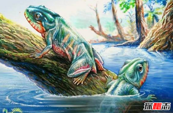 地球還存在史前生物嗎?世界十大無害的史前生物