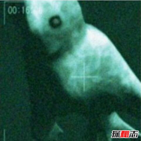Ningen真的存在嗎,美國(guó)和日本在南極的人造生命體