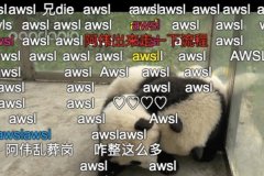 awsl是什么意思：啊我死了(拼音縮寫)
