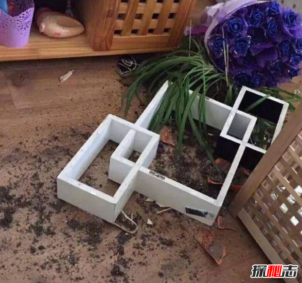 地震最淡定主播是誰?怎么火了?