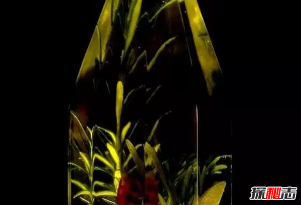 最厲害的天然抗生素：第五種能殺死800多種病毒