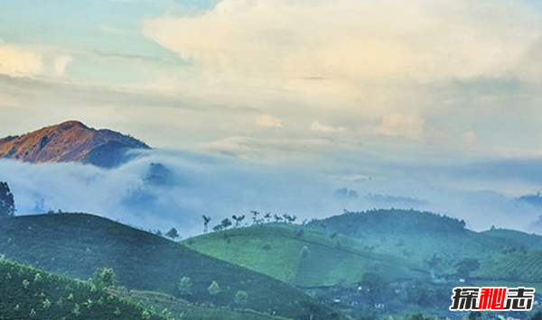 世界上茶葉生產十大國,印度有超10億飲茶者(70%國內消費)