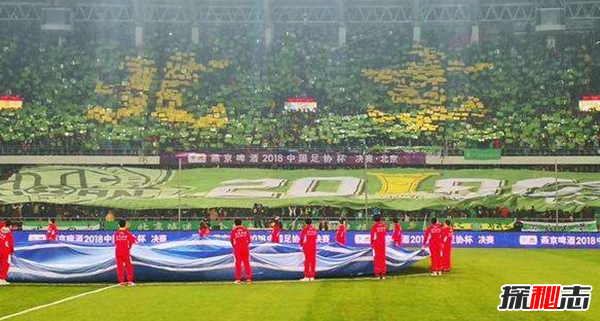 TIFO,ʲô