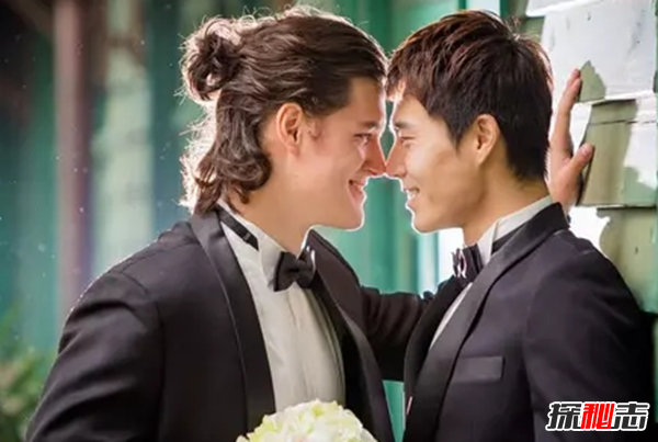 世界同性婚姻合法國(guó)家,第一堪稱同性伴侶的天堂