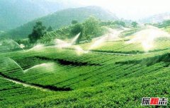 中國最大的丘陵：東南丘陵紅壤豐富地層復(fù)雜