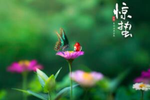 @U(ji)ĺxʲôٴr(sh)(ji)_(ki)ʼÿ35̖(ho)6̖(ho)