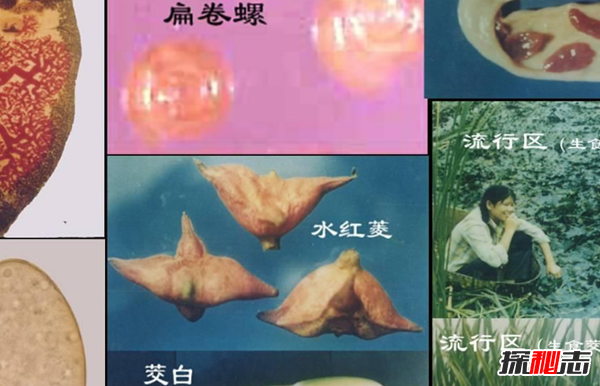 x(chng)(du)wʮΣ