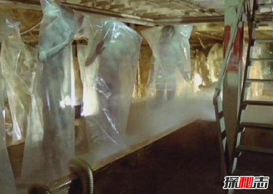 新疆復(fù)制人是真的嗎?1956新疆復(fù)制人事件全解密
