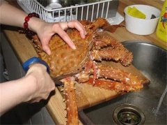 一斤竟然能夠被賣(mài)到數(shù)百元，它的售價(jià)為什么這么昂貴（帝王蟹）